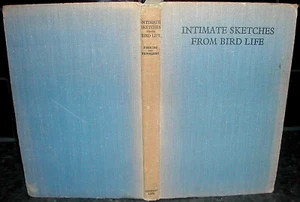 INTIMATE SKETCHES of BIRD LIFE Eric J Hosking 1945 Photography Cyril W Newbury - Picture 1 of 1