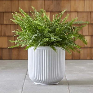 PLANT FLOWER POT PLANTER 16"W X 16"L X 15.8"H White Resin - Picture 1 of 8
