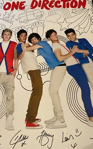 ONE DIRECTION POSTER 24 x 36 inch Poster Photo Print Wall very rare! - Picture 1 of 1
