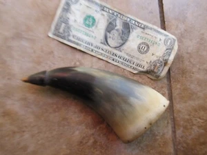 Fancy REVOLUTIONARY WAR PISTOL POWDER HORN, Very Rare FLAT OVAL STYLE, Militia - Picture 1 of 6