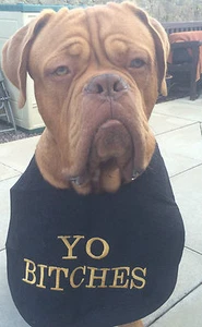 BIG DOG NEWFOUNDLAND ST BERNARD BERNESE OLD ENGLISH MASTIFFS SLOBBER BIB - Picture 1 of 2