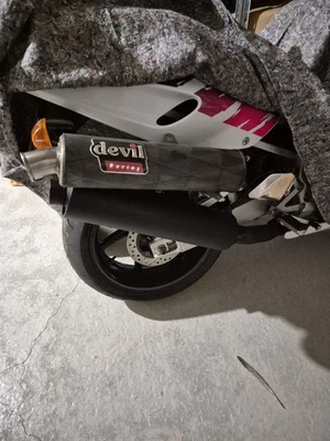 Devil Silencieux Pour Honda 900 CBR 1992/ 1993  SC28 SC29 - Photo 1/4