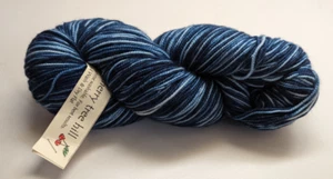 Cherry Tree Hill pintado a mano 100 % Superwash Merino 4 oz 420 yd índigo semi sólido - Imagen 1 de 2