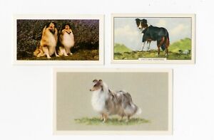 SHETLAND SHEEPDOG SHELTIE VINTAGE DOG CIGARETTE & TRADE CARDS
