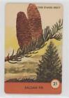 1962 Ed-U-Cards Tree Spotter Cards Balsam Fir #21 0e2x