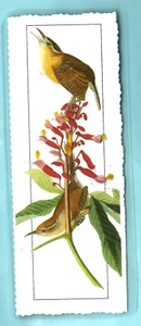 Marcador Caroline Wren Bird J J Audubon American Birds Lover Gifts x Her Him - Imagen 1 de 3