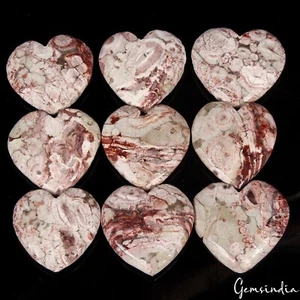 Lote de 400 Ct/9 Piezas Piedras Preciosas Sueltas Corazón Cabujón Riolita Jaspe Natural Sin Tratar - Imagen 1 de 5