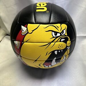 Molten Volleyball Ferris State Bulldogs MS500-00630 Black & Yellow Sports Ball