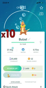 Pokemon TRADE - 10x Buizel Trade !! Good Chance of Lucky and Good IVs !! - Picture 1 of 1