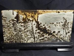 Chinese Picture Jasper Polished slab with stand 4.75"x2.5"x.25" (5 oz.) H0 - Picture 1 of 3