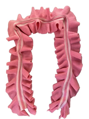 J. McLaughlin knit Ruffle Scarf cashmere Blend 6"x56" Pink Ivory - Image 1 of 4