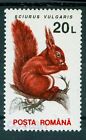 1993/1995 Squirrel,Ardilla,Eichhörnchen,Romania,4903 X-GWP/II,paper variety, MNH