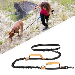 Double Elastic Reflective Dog Leash Hands Free Running Leash With Dual Bungee - Picture 1 of 3
