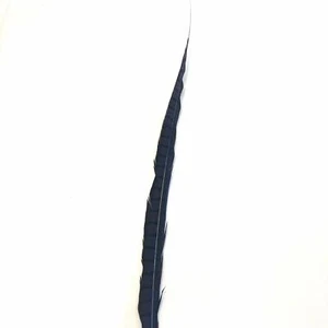 30" to 38" Lady Amherst Pheasant Side Tail Feather - Navy - Picture 1 of 3