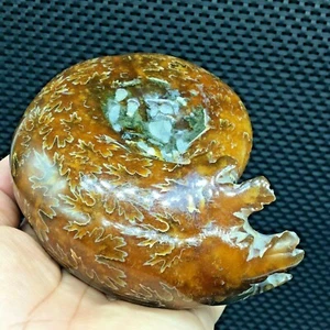 560g  Hand-carved chrysanthemum specimens from natural conch in Madagascar  S853 - Picture 1 of 12