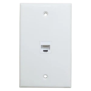 Piastra da Parete Ethernet un 1 Porta, Piastra da Parete Jack con 6996 - Afbeelding 1 van 3