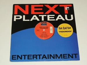 ONE AND ONE phenomenon 12" RECORD PROMO 1996 - Imagen 1 de 1