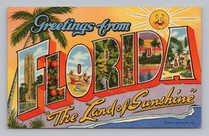 Postkarte Grüße aus Florida Das Land der Sonne um 1966 - Bild 1 von 2