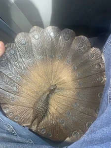 Pfau Deko Wand Teller Super Selten - Bild 1 von 2