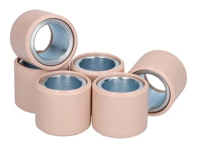 8312655 原始设备制造商 6 变量滚轮 25x22 毫米 28.5 克 Aprilia Atlantic 500 Scarabeo 500 — 第 1/3 张图片