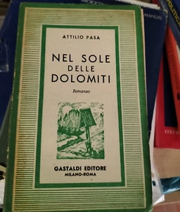 NEL SOLE DELLE DOLOMITI Attilio Pasa GASTALDI EDITORE - Picture 1 of 1