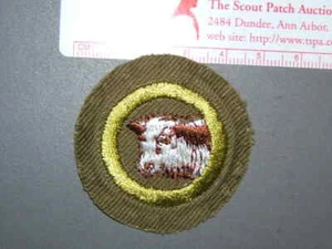 Insignia de mérito Boy Scout producción de carne circa '46-'59 3954M - Imagen 1 de 1