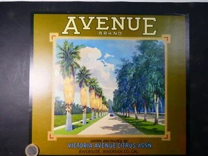Fruit crate label etiquette, original litho ca.1955 Avenue Brand 25x28 cm retro - Imagen 1 de 1