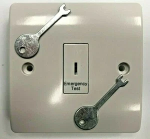 10 Amp 1 Gang Emergency Light Test / Secret Key Switch Plate Double pole 2 Keys - Picture 1 of 4