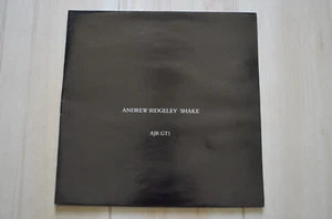 Andrew Ridgeley  U.K. 12" “Shake” Epic (AJR GT1) New Mint - Picture 1 of 4