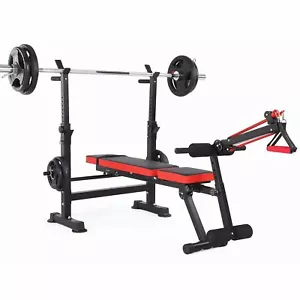 600Lbs Weight Bench Set with Squat Rack Foldable Adjustable Bench Press Set USA - Picture 1 of 9
