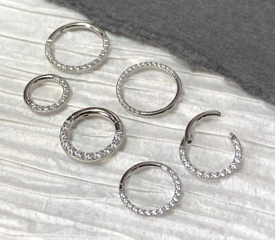 Juego de 1 anillo de segmento con bisagras CNC gema circonita cúbica frontal aro de tabique hélice Daith Foto 1 de 4