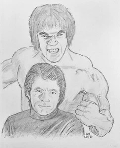 THE HULK  PENCIL DRAWING 11X14 BILL BIXBY/LOU FERRIGNO ORIGINAL  SKETCH - Picture 1 of 1