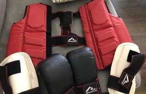 RhinGO Chest Guard Protector Sparring Gear Vest, Gloves & Shin Guards CHM - Picture 1 of 10