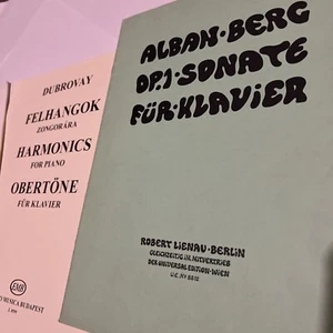 Rhapsody-Concerto Bohuslav Martinu and Orchestra Piano Quartet without Berg - Picture 1 of 13