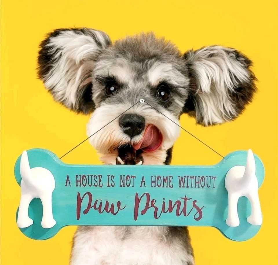 Soporte de correa de perro de madera con shao de hueso verde azulado para decoración de patas de hogar Foto 1 de 4