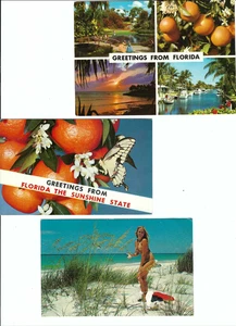 POST CARD- {4}   STATE  FLORIDA U.S.   ''GREETINGS FROM FLORIDA'' - Picture 1 of 4