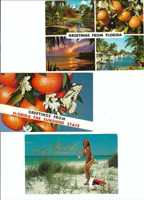 POST CARD- {4}   STATE  FLORIDA U.S.   ''GREETINGS FROM FLORIDA'' - Image 1 of 4