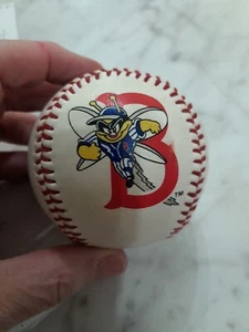 Binghamton Bees Baseball Minor League NY Good Condition With Some Stains 2012 - Picture 1 of 4