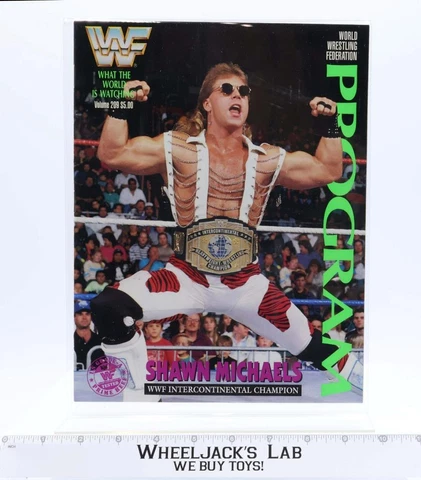 WWF Lineup Sheet Orlando 1/10/93 1993 Program Magazine 209 Shawn Michaels Poster Cover