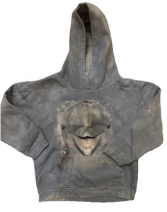 The Mountain 2012 Kids Size Small Hoodie Front Pocket Dolphin Blue - Picture 1 of 7