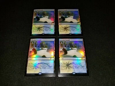 MTG 1x Nationals Promo rare land LP FOIL Flooded Strand - ships w/ tracking - Image 1 of 2