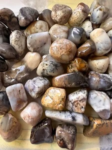 3X Merlinite Tumbled Stones Opalized Agate 25-30mm Healing Crystals Creativity - Bild 1 von 9