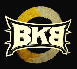 BIG KNOCKOUT BOXING combat sport XL tee BKB logo T shirt Gabriel Rosado - Picture 1 of 2
