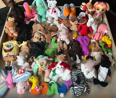 36 TY 豆豆娃套装包括和平熊带挂牌海绵宝宝和更多 — 第 1/4 张图片