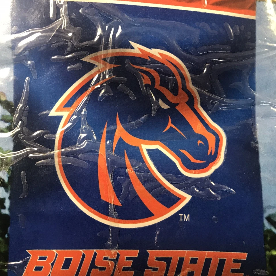 Boise State Panel House Flag or Banner - Image 1 of 4