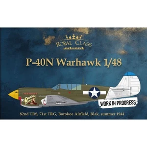 Eduard R0025 P-40N Warhawk Dual Combo Royal Class 1:48 Model Kit - Picture 1 of 4