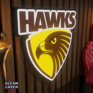 Hawthorn Hawks AFL Logo LED RGB Wall Display Light Sign - Picture 1 of 5