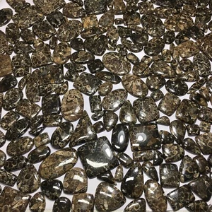 Turritella Agate Loose Cabochon Spiritual Gemstone Natural - Picture 1 of 6