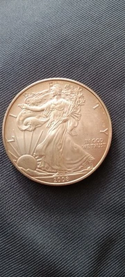 Moneda American Silver Eagle BU 2008 sin circular #42 Foto 1 de 4