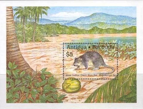 Antigua #SGMS1326 MNH S/S 1989 Giant Rice Rat Megalomys Quince [1237] Cover